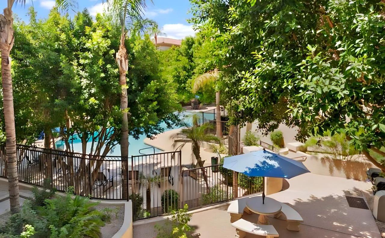 Biltmore Bliss Desert Retreat! Феникс Экстерьер фото